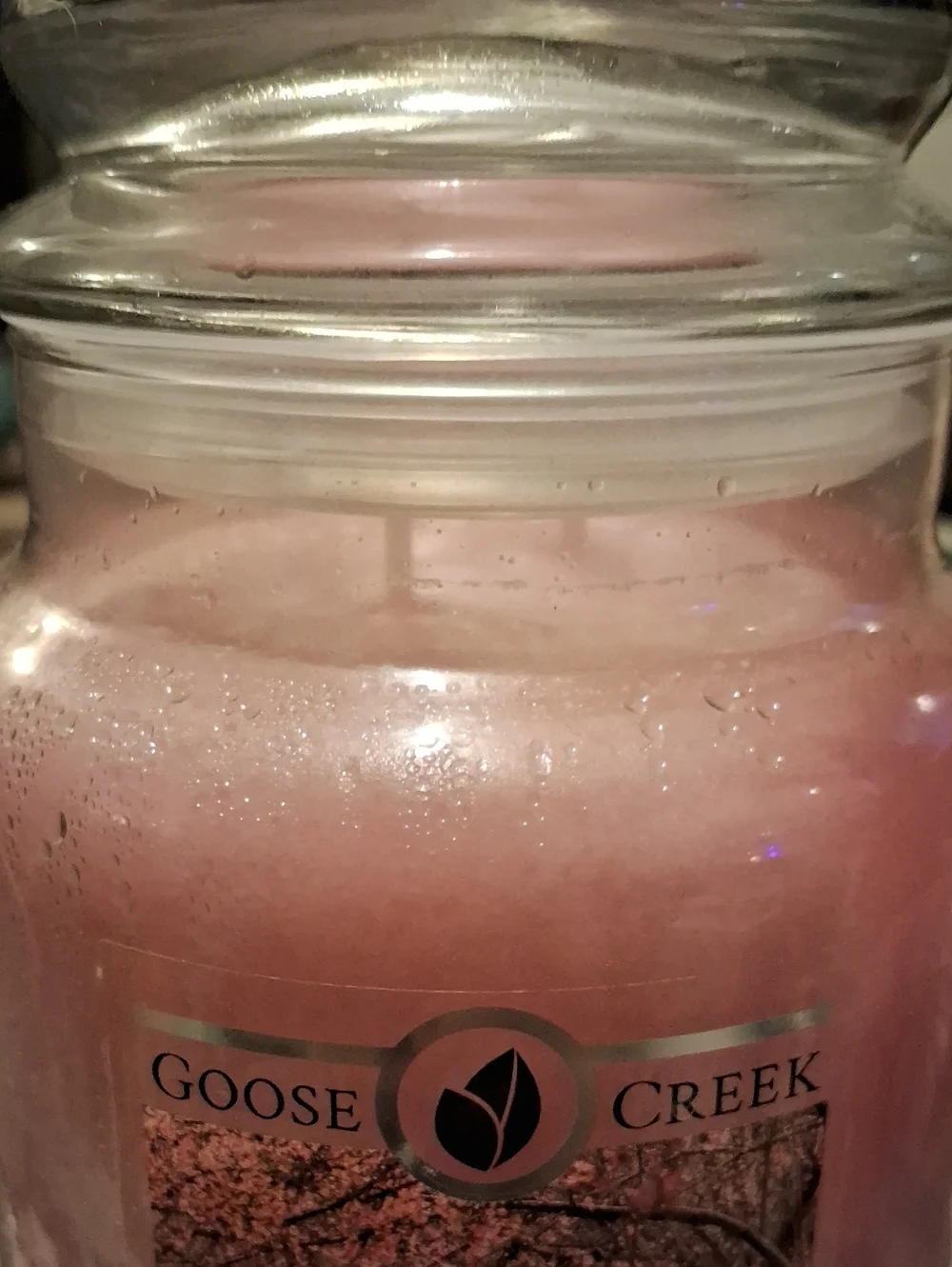 Goose Creek Cherry Blossom Pink Jar Candle